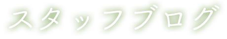 スタッフブログ