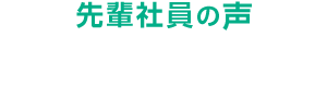 先輩社員の声