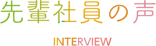 先輩社員の声