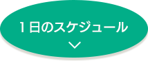 1日のスケジュール